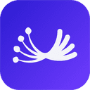 Dill icon